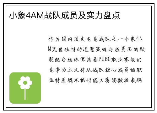 小象4AM战队成员及实力盘点